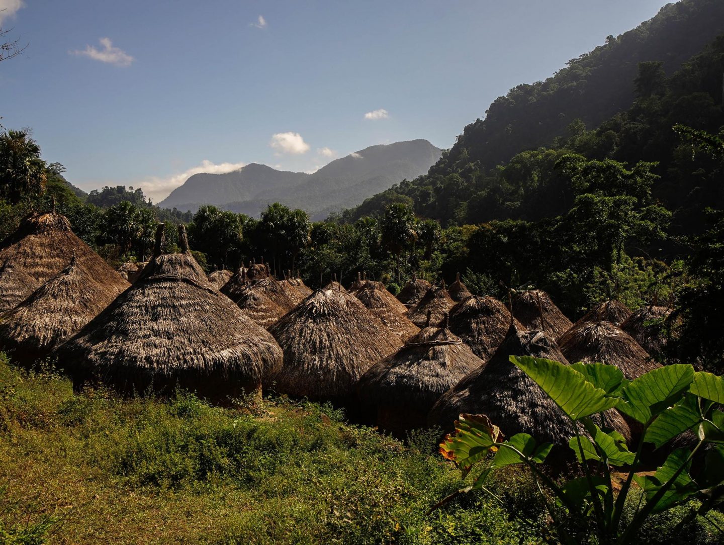Colombie  Les mines d'or illégales de la jungle dans le viseur